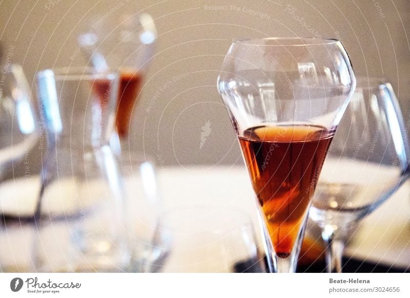 Prosit! Getränk trinken Alkohol Wein Glas Lifestyle Gesundheit Wellness Restaurant Bar Cocktailbar Gastronomie wählen Erholung genießen ästhetisch Flüssigkeit