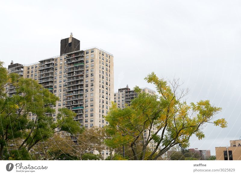 wohnen 2 Wolken Baum Haus Fassade Stadt New York City Coney Island Sozialstaat Farbfoto Außenaufnahme Menschenleer Textfreiraum rechts Textfreiraum oben