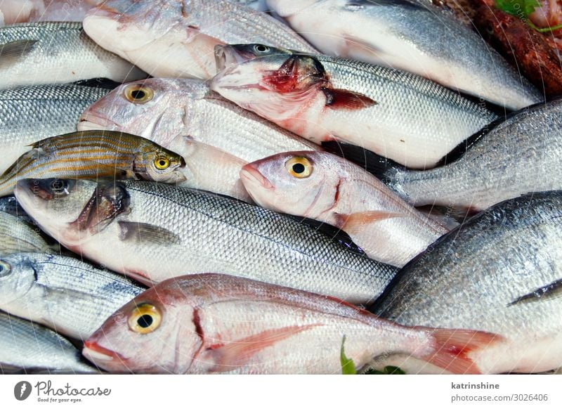 Mischfisch zum Verkauf auf dem Markt Meeresfrüchte Ernährung frisch Fisch Lebensmittel Italien Süden mediterran mischen gemischt Paca Provence Sale Fischer