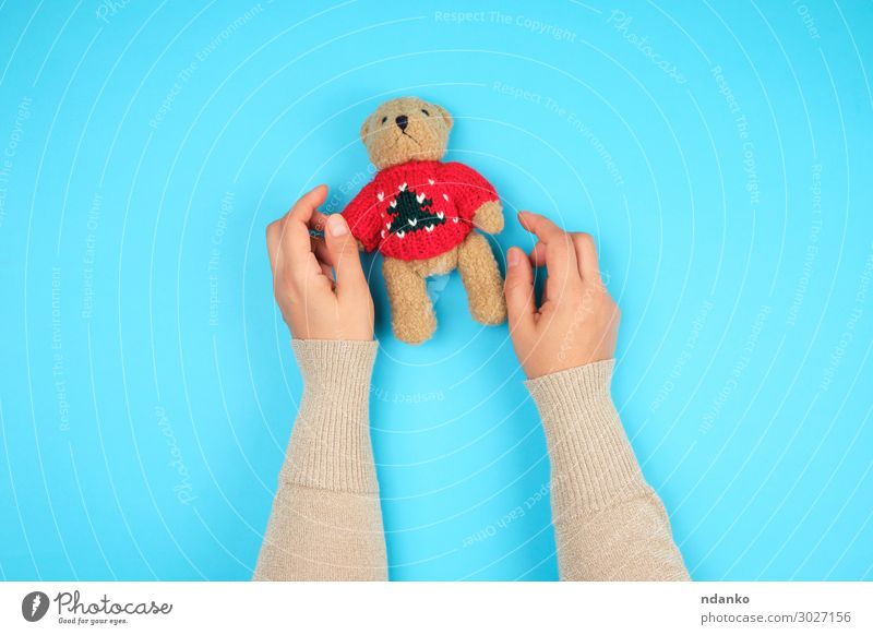 zwei weibliche Hände halten einen kleinen Spielzeugteddybären. Freude Körper Kind Kindheit Hand Tier Puppe Teddybär Spielen lustig niedlich retro weich blau