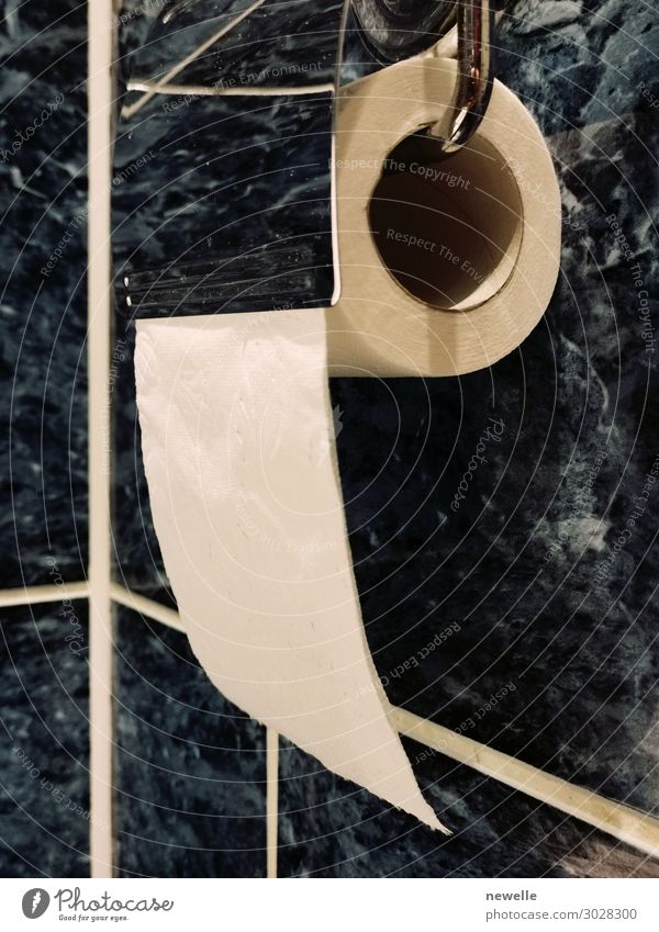 Toilettenpapierrolle am Toilettenhalter hängend Design Bad Papier Metall modern Sauberkeit weich weiß rollen Klammer erhängen Taschentuch Wand Wischen