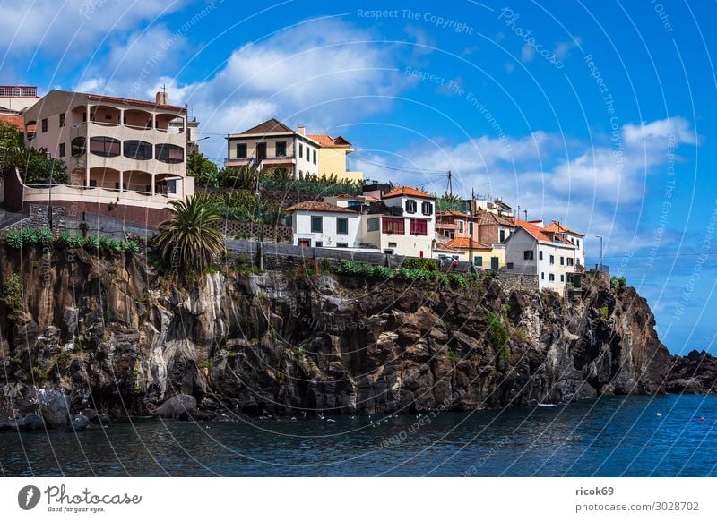 Blick auf Camara de Lobos auf der Insel Madeira, Portugal Erholung Ferien & Urlaub & Reisen Tourismus Meer Haus Natur Landschaft Wasser Wolken Klima Wetter