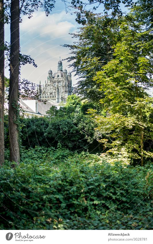 's-Hertogenbosch und die St. Johannes Kathedrale Niederlande 's-hertogenbosch den bosch Wald Baum grün Natur st. johannes kathedrale Religion & Glaube Kirche