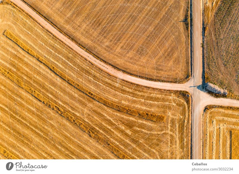 Getreidefelder in Castilla y Leon Spanien bird´s aus der Sicht von bird´s Brot Sommer Sonne Natur Landschaft Pflanze Himmel Wolken Horizont Wiese Fluggerät