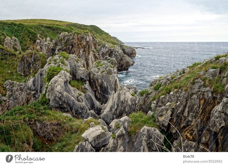 Kantabrische Küste bei bedecktem Himmel Ferien & Urlaub & Reisen Tourismus Sommerurlaub Meer Wellen Landschaft Wolken schlechtes Wetter Blume Gras Sträucher