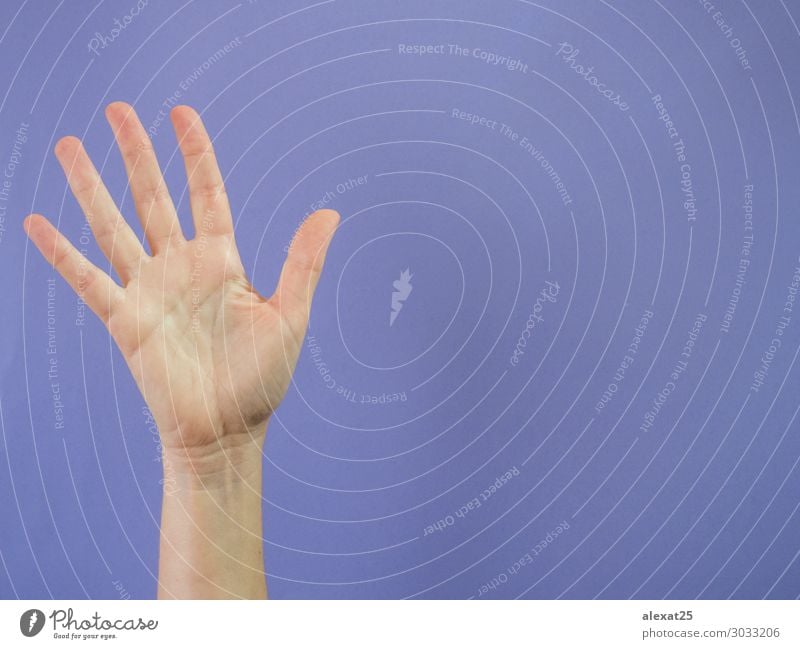 Hand mit fünf erhobenen Fingern auf violettem Hintergrund Erfolg Mensch Frau Erwachsene Arme Frieden 5 5. Kaukasier Mitteilung Entwurf Textfreiraum