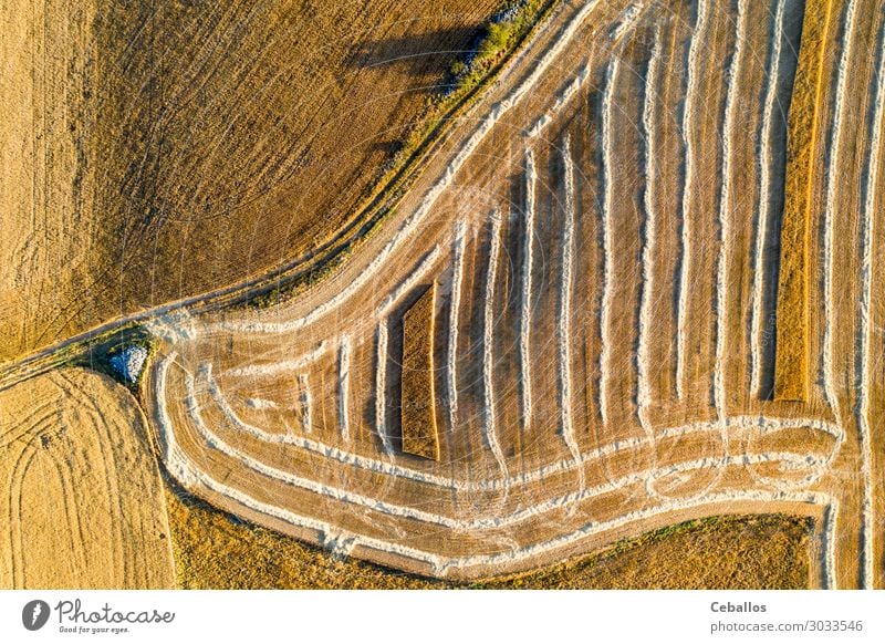 Getreidefelder in Castilla y Leon Spanien bird´s aus der Sicht von bird´s Brot Sommer Sonne Natur Landschaft Pflanze Himmel Wolken Horizont Nutzpflanze Wiese