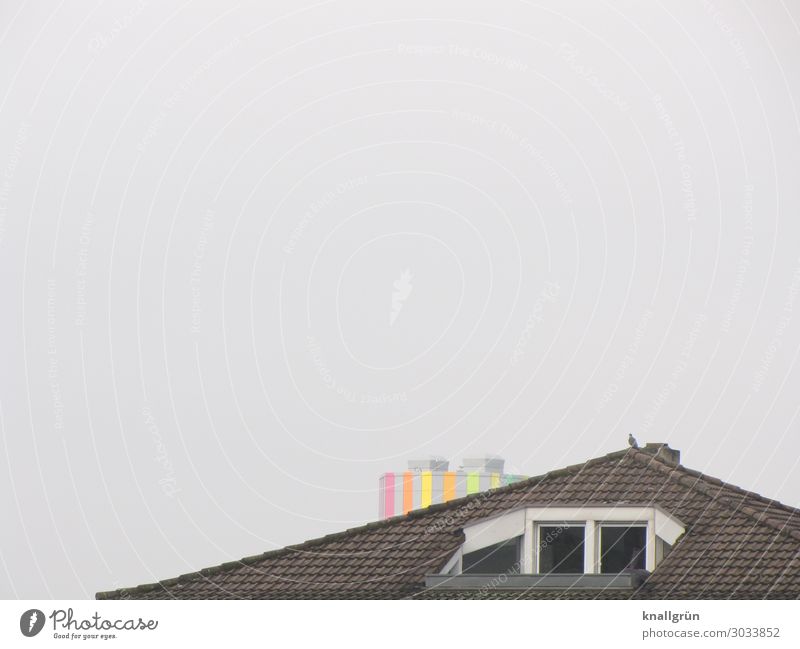 Wohnung mit Aussicht Haus Dach Dachloggia Tier Taube 1 hoch Stadt mehrfarbig grau schwarz Horizont Häusliches Leben Penthouse Hochhaus Farbfoto Außenaufnahme