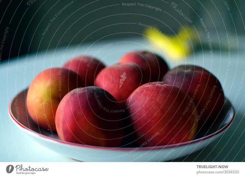 Reife Pfirsiche Frucht Ernährung Bioprodukte Vegetarische Ernährung Leben Sinnesorgane frisch Gesundheit lecker saftig weich blau gelb grau rot Fröhlichkeit