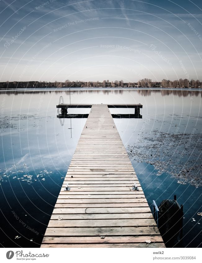 Startbahn Umwelt Natur Landschaft Wasser Wolkenloser Himmel Horizont Schönes Wetter Wasserpflanze Wald Seeufer Olba Lausitz Sachsen Deutschland Steg Holz