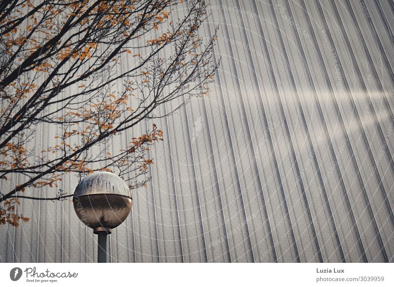 Silberdach Stadt Menschenleer Gebäude Architektur Halle Fassade Dach Straßenbeleuchtung leuchten grau Gedeckte Farben Außenaufnahme Textfreiraum rechts