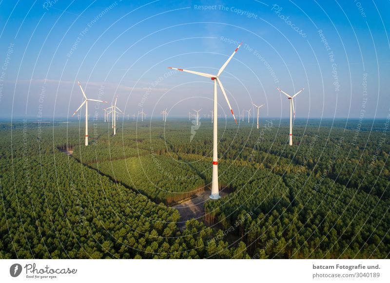 Luftbild Windpark im Wald Technik & Technologie Energiewirtschaft Erneuerbare Energie Windkraftanlage Natur Landschaft Wolkenloser Himmel Sonne Sommer