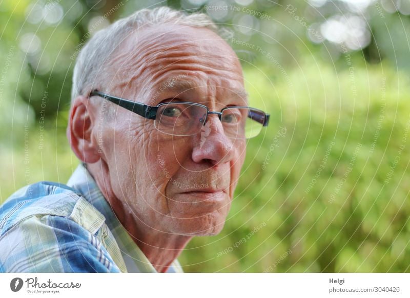 Nahaufnahme eines männlichen Seniors, der skeptisch in die Kamera schaut Mensch maskulin Mann Erwachsene Männlicher Senior Kopf Haare & Frisuren Gesicht 1