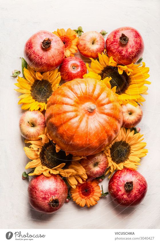 Kürbis mit Äpfeln, Blumen, Granatapfel und Sonnenblumen auf weißem Tisch, Ansicht von oben. Herbst oder Spätsommer Layout komponieren. Thanksgiving-Arrangement