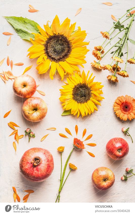 Sommer flat lay mit Äpfel, Sonnenblumen, Granatapfel Frucht Apfel Stil Design Frühling Blume Dekoration & Verzierung Blumenstrauß Composing
