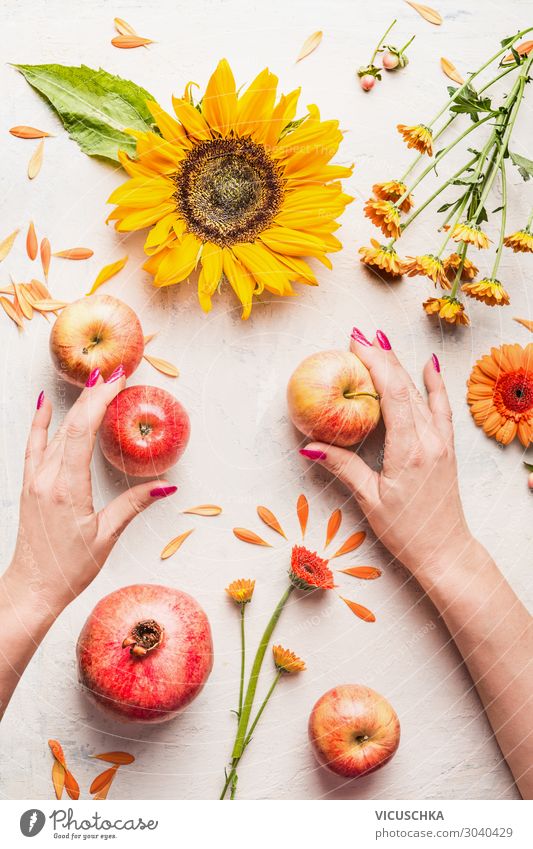 Hände halten Äpfel auf weißem Tisch mit Sonnenblumen Lebensmittel Apfel Ernährung Stil Design Frau Erwachsene Hand Dekoration & Verzierung Blumenstrauß Sommer