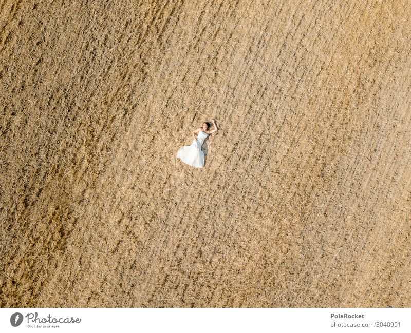 #AS# Hochzeitsfeld II Kunst ästhetisch Landschaft verloren Braut Brautkleid Brautschleier Kleid Zeremonie überwältigt vergessen trist leer Hochzeitszeremonie