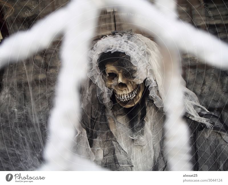 Leichenbraut an Halloween Dekoration & Verzierung Feste & Feiern Hochzeit weiß Tod Farbe Tradition Hintergrund Braut Feiertag Skelett Schädel Spinnennetz
