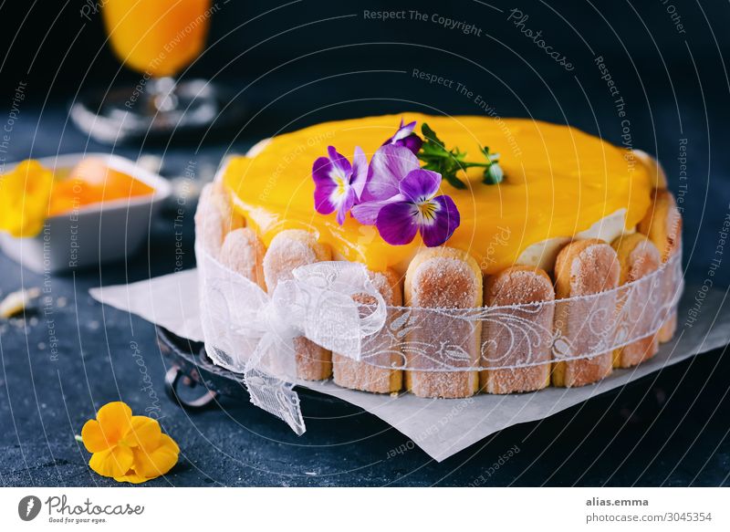 Maracuja-Pfirsich-Torte auf dunklem Hintergrund Kuchen Obstkuchen dunkel Gesunde Ernährung Speise Essen Foodfotografie Backwaren lecker orange moody