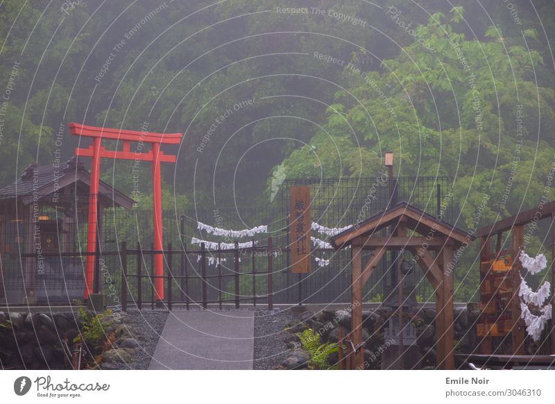 Nebel Torii Fujinomiya Japan Architektur Tempel O-Torii Tor Abenteuer Kultur Surrealismus Tourismus Farbfoto Außenaufnahme Tag