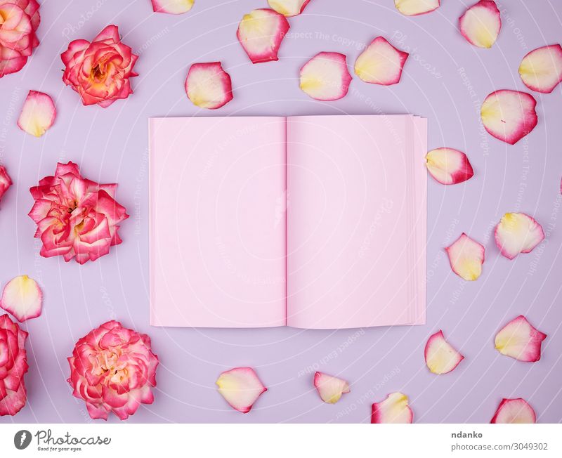 offenes Notizbuch mit rosa leeren Seiten Design Dekoration & Verzierung Feste & Feiern Hochzeit Geburtstag Arbeitsplatz Business Buch Pflanze Blume Blüte Papier