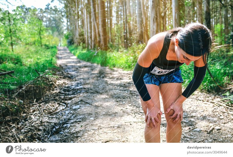 Athletin, die bei einem Trail-Wettbewerb innehält. Lifestyle Sport Mensch Frau Erwachsene Natur Baum Wald Wege & Pfade Fitness Müdigkeit Erschöpfung anstrengen