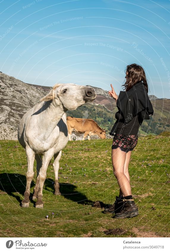 Fingerspitzengefühl | braucht man im Umgang mit frechen Pferden Ausflug Berge u. Gebirge wandern feminin Junge Frau Jugendliche 1 Mensch Natur Landschaft