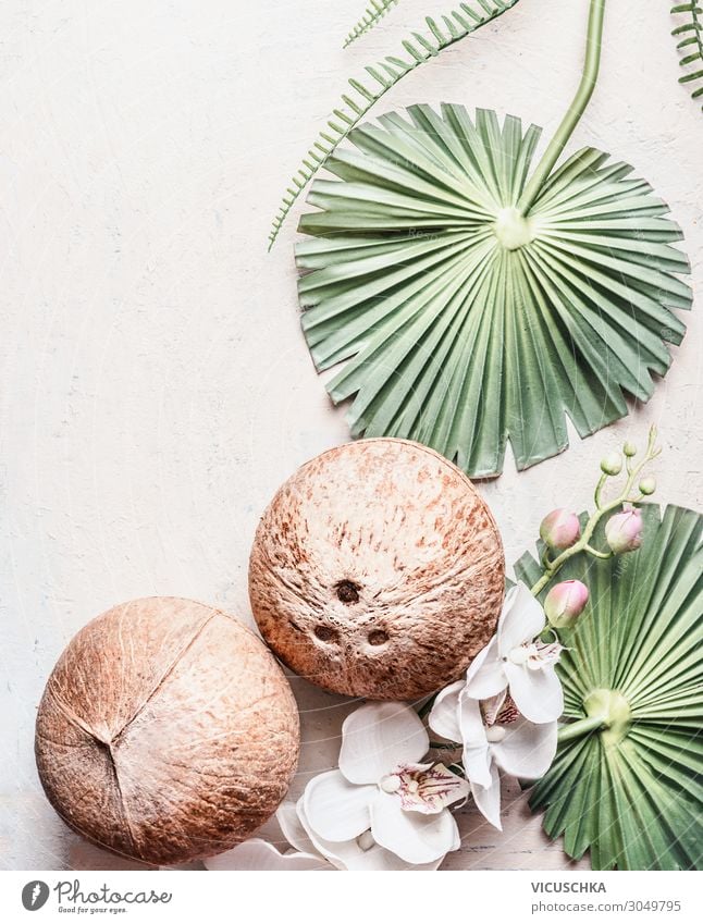 Zwei ganze Kokosnüsse auf hellem Hintergrund mit tropischen Blättern und Blumen, Draufsicht, Rahmen. Kopierraum für Ihr Design: Produkt oder Text. Konzept der veganen Lebensweise. Vorteile der Kokosnuss