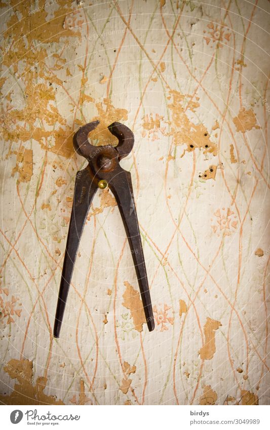 Alte Kneifzange Handwerker Mauer Wand Werkzeug Metall hängen alt authentisch Originalität retro braun grau weiß entdecken Nostalgie Qualität stagnierend