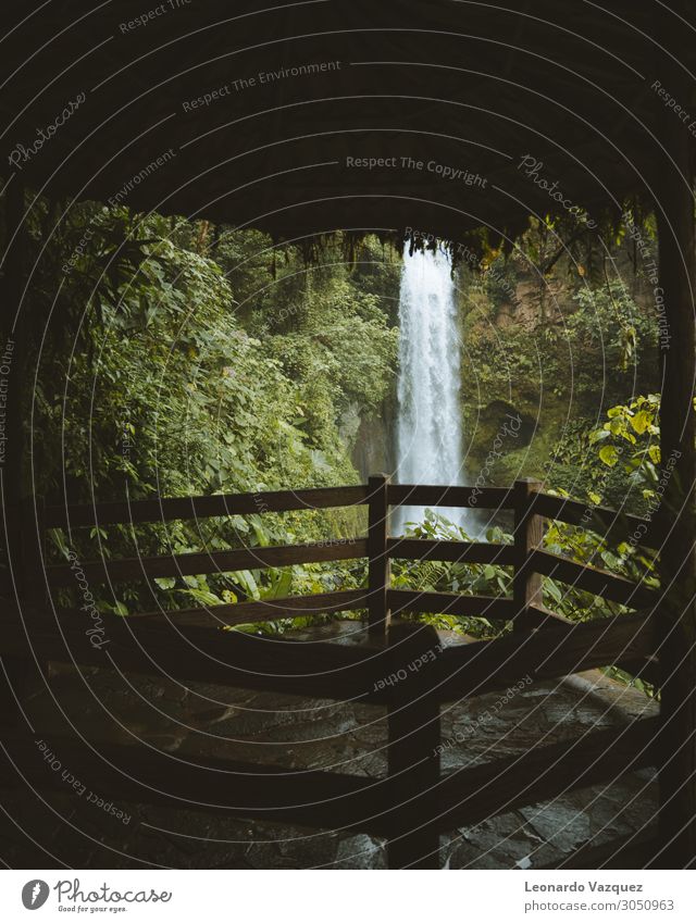 Costa Rica Wasserfall Umwelt Natur Landschaft Pflanze Frühling Regen Garten Park Abenteuer Ferien & Urlaub & Reisen Farbfoto Außenaufnahme Menschenleer Morgen