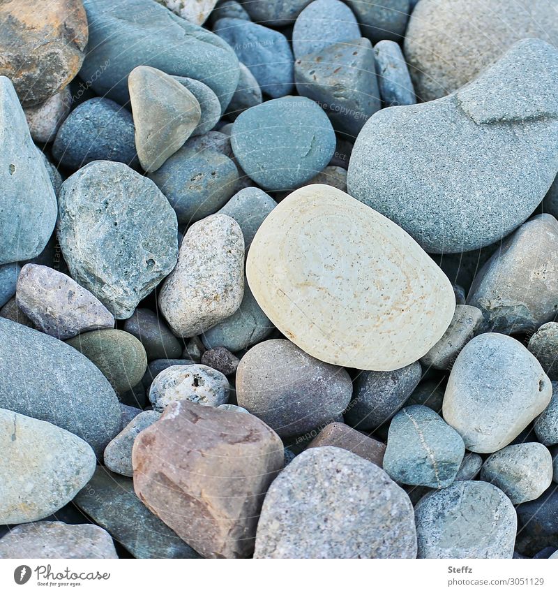 Glücksstein Steine Steinchen Steinstrand Textur vielfältig Vielfalt einfach vielfach viele Diversity diverse unterschiedlich zusammen eckig einzigartig Mischung