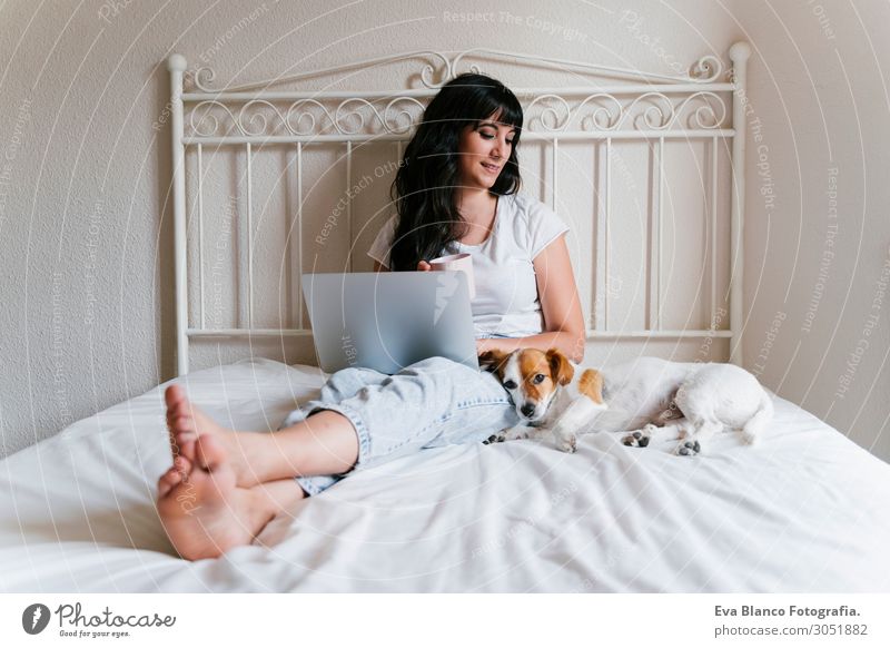 junge Frau auf dem Bett, die am Laptop arbeitet, süßer kleiner Hund nebenbei Lifestyle Freude Glück schön Erholung Freizeit & Hobby Spielen