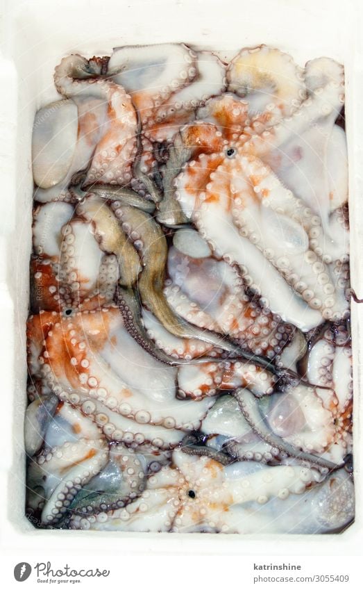 Frische Tintenfische in einer Schachtel auf dem Fischmarkt Meeresfrüchte Ernährung frisch Octopus Fischverkäufer roh Fischen Mittelmeer essen Feinschmecker