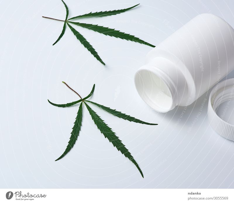 offenes leeres weißes medizinisches Kunststoffglas für Pillen Alternativmedizin Rauschmittel Medikament Natur Pflanze Gras Blatt natürlich Sauberkeit wild grün