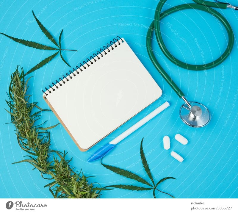 offenes Notizbuch mit weißen Blankoblättern, Hanfzweig Kräuter & Gewürze Gesundheitswesen Alternativmedizin Rauschmittel Medikament Kultur Natur Pflanze Gras