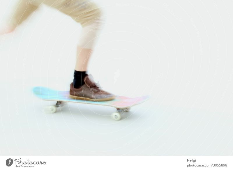 Detailaufnahme eines Scateboardfahrers mit Bewegungsunschärfe Sport Skateboard Sportpark Mensch Beine Fuß 1 18-30 Jahre Jugendliche Erwachsene Bekleidung Hose