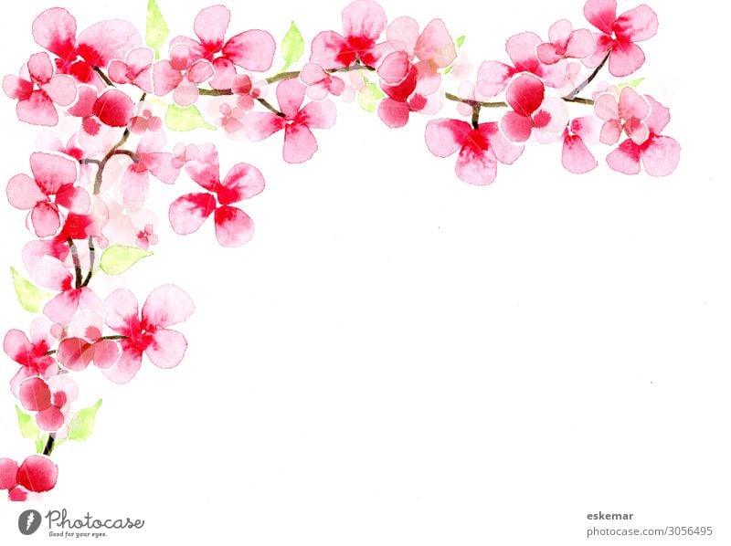 Kirschblütenzweig Kunst Kunstwerk Gemälde Aquarell Wasserfarbe auf Papier Natur Pflanze Frühling Baum Blüte Zweig ästhetisch Duft schön Kitsch rosa weiß