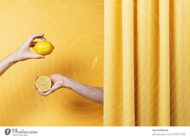 Zwei Frauenhände halten Schnitt und ganze Zitronen. natürlich gelb Finger Halt Hand Gesundheit Gesunde Ernährung Vitamin C Zitrusfrüchte Frucht Entwurf