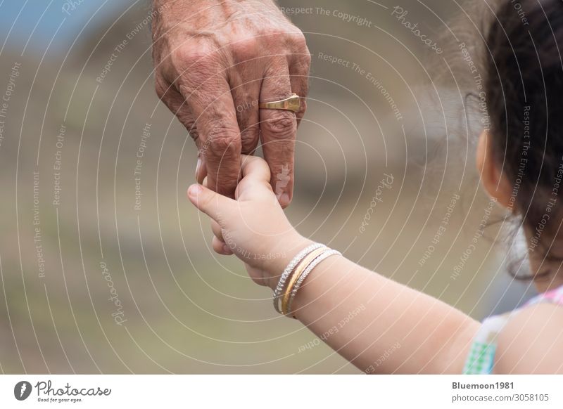 Nahaufnahme der Hand eines Kindes, das den Finger seines Vaters hält. Lifestyle Haut Ferien & Urlaub & Reisen Kindererziehung Ruhestand maskulin Mädchen Mann