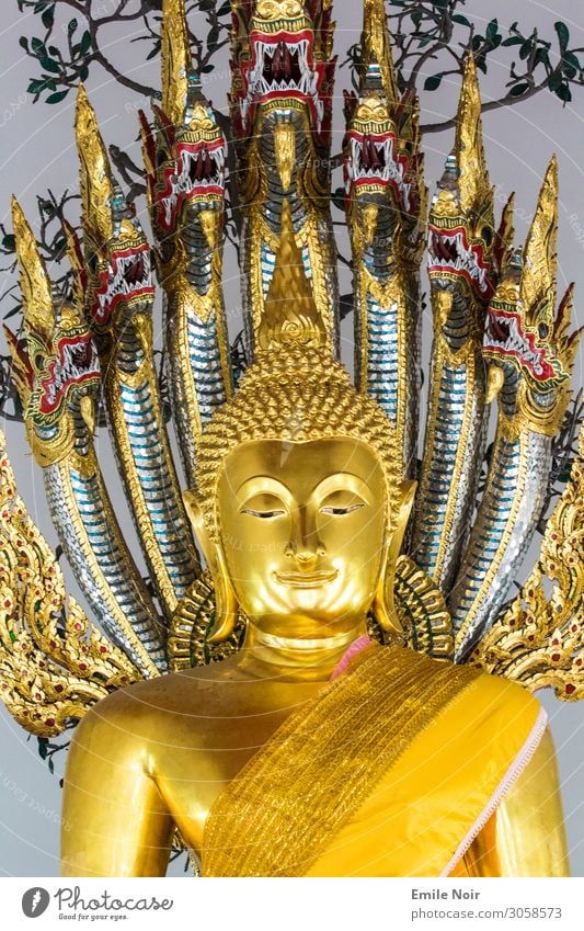 Schlangenbuddha Ferien & Urlaub & Reisen Tourismus Ferne Sightseeing Städtereise Architektur Tempel Statue Sehenswürdigkeit Religion & Glaube Buddha Buddhismus