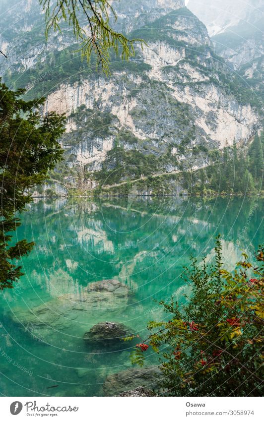 Pragser Wildsee / Lago di Braies Umwelt Natur Landschaft Baum Wasser Himmel Wolken Nebel Alpen Berge u. Gebirge Südtirol See wandern Ferien & Urlaub & Reisen