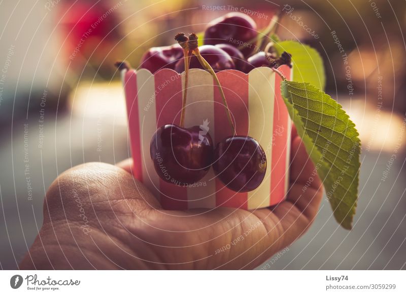 Cherries Lebensmittel Frucht Kirsche Ernährung Schalen & Schüsseln Gesunde Ernährung Kindererziehung Hand Schönes Wetter Diät Essen Gesundheit süß rot Freude