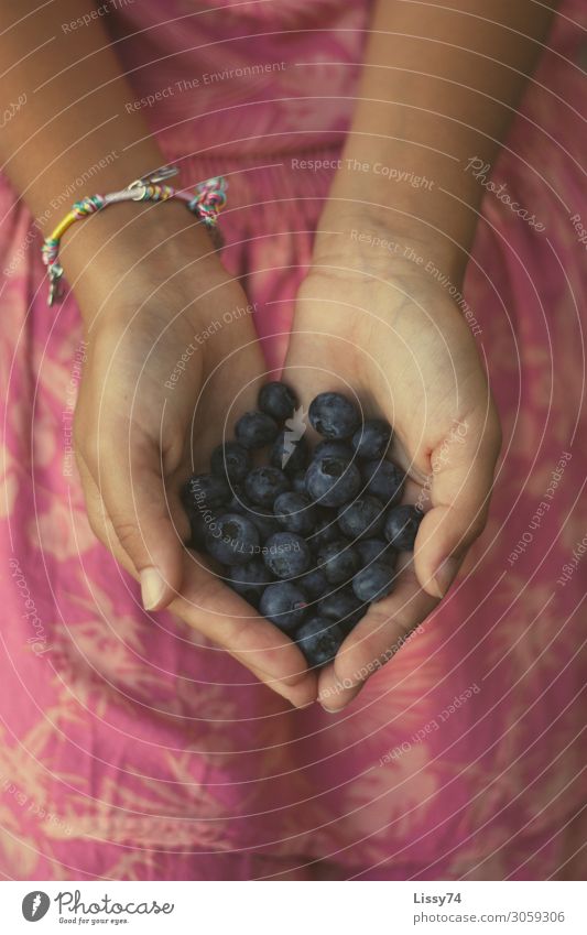 Beerig Lebensmittel Frucht Beeren Heidelbeeren Ernährung Gesundheit Kindererziehung Schüler Mädchen Hand 8-13 Jahre Kindheit Sommer Herz blau mehrfarbig rosa