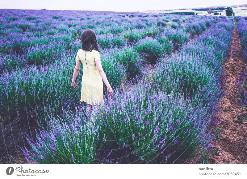 Rückansicht einer jungen Frau in einem Lavendelfeld Lifestyle Erholung Duft Abenteuer Sommer Landwirtschaft Forstwirtschaft Mensch feminin Erwachsene