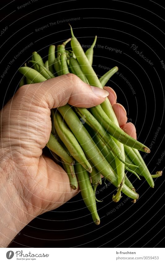 Eine Hand voll Stangenbohnen Lebensmittel Gemüse Ernährung Bioprodukte Vegetarische Ernährung Gesunde Ernährung Mann Erwachsene Finger Arbeit & Erwerbstätigkeit