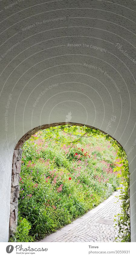 Rundbogendurchgang ins Grüne Frühling blick ins grüne begrünt Wege & Pfade Mauerdurchgang Durchgang Tag Außenaufnahme Tunnel Gang Menschenleer Unterführung