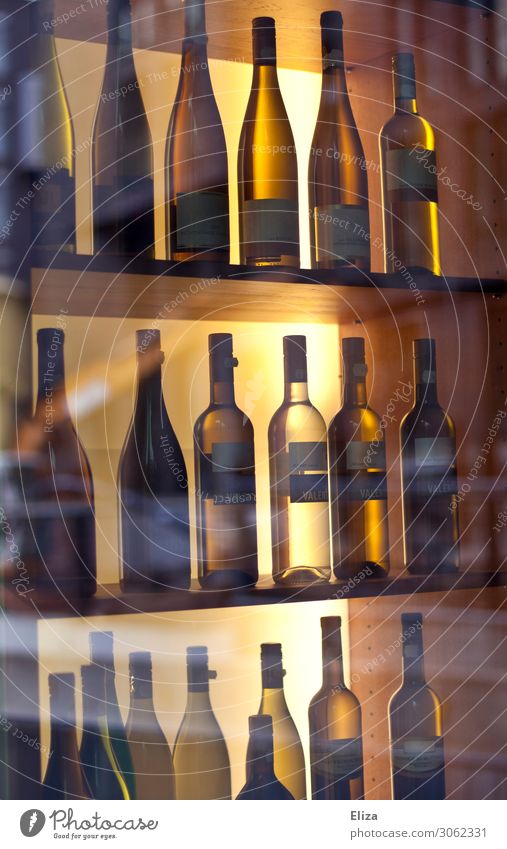 in vino veritas Wein genießen Weißwein Weißweinflasche Winzer Weinladen Weinregal hochwertig Alkohol weinauswahl elegant edel Regal teuer Exklusivität Reichtum