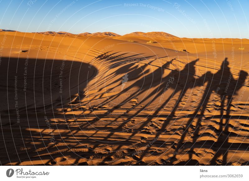 Karawane lX Ferien & Urlaub & Reisen Tourismus Ausflug Ferne Expedition Mensch Leben Himmel Wolkenloser Himmel Schönes Wetter Wüste Sahara Marokko Afrika