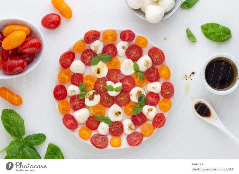 Tomate mit Mozzarella, Basilikum und Dressing mit Balsamicoessig auf weißem runden Teller mit Zutaten Salat Salatbeilage Kräuter & Gewürze Käse Öl Essig
