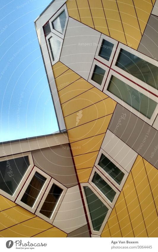 Gelbe Häuser Architektur Rotterdam Stadt Stadtzentrum Haus Sehenswürdigkeit gelb ästhetisch Inspiration ruhig Farbfoto Außenaufnahme Nahaufnahme Detailaufnahme